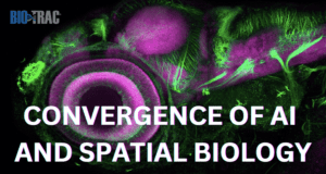 The Convergence of AI and Spatial Biology: A Game-Changing Bio-Trac Event Bringing Experts Together